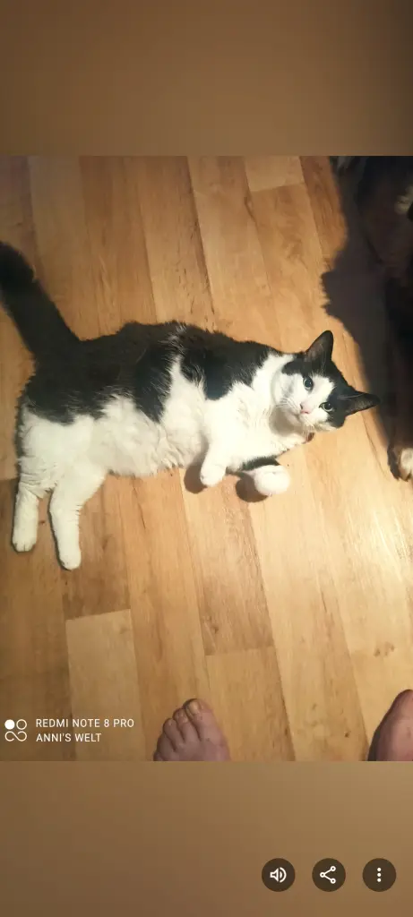 Bild von Ragnar Ragnarök