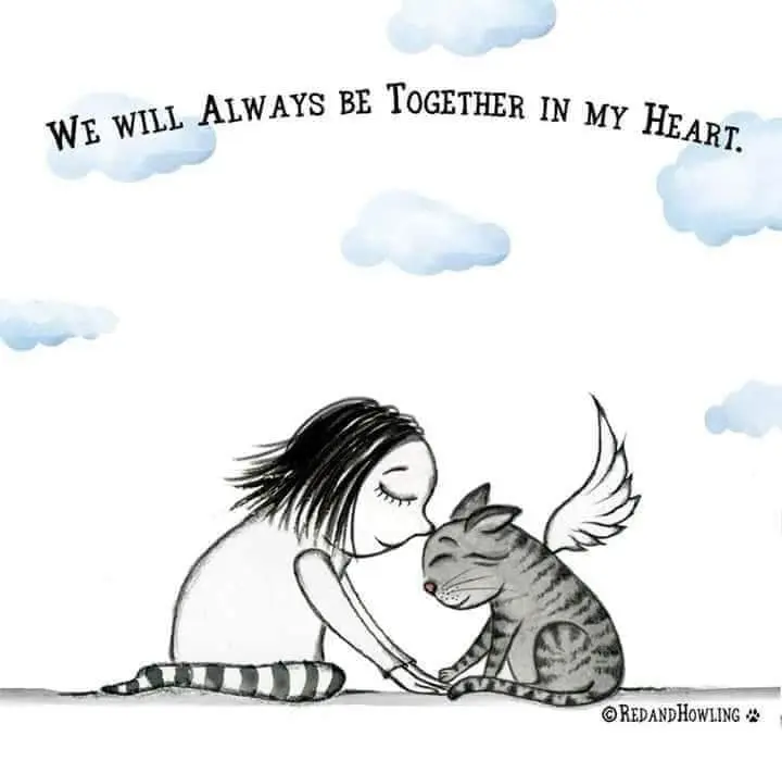 Condolence image of Steffi