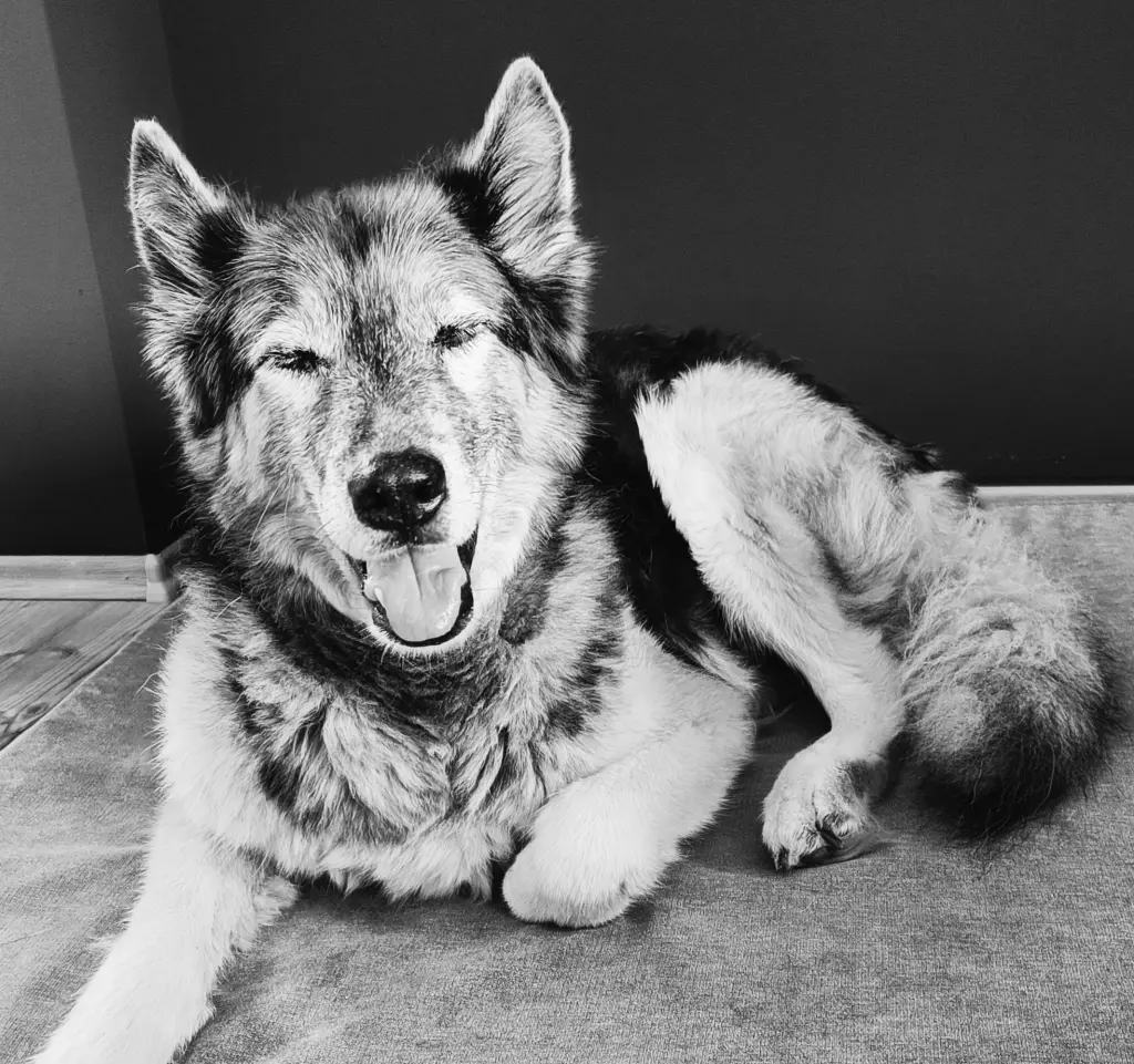 Condolence image of Ivy S.