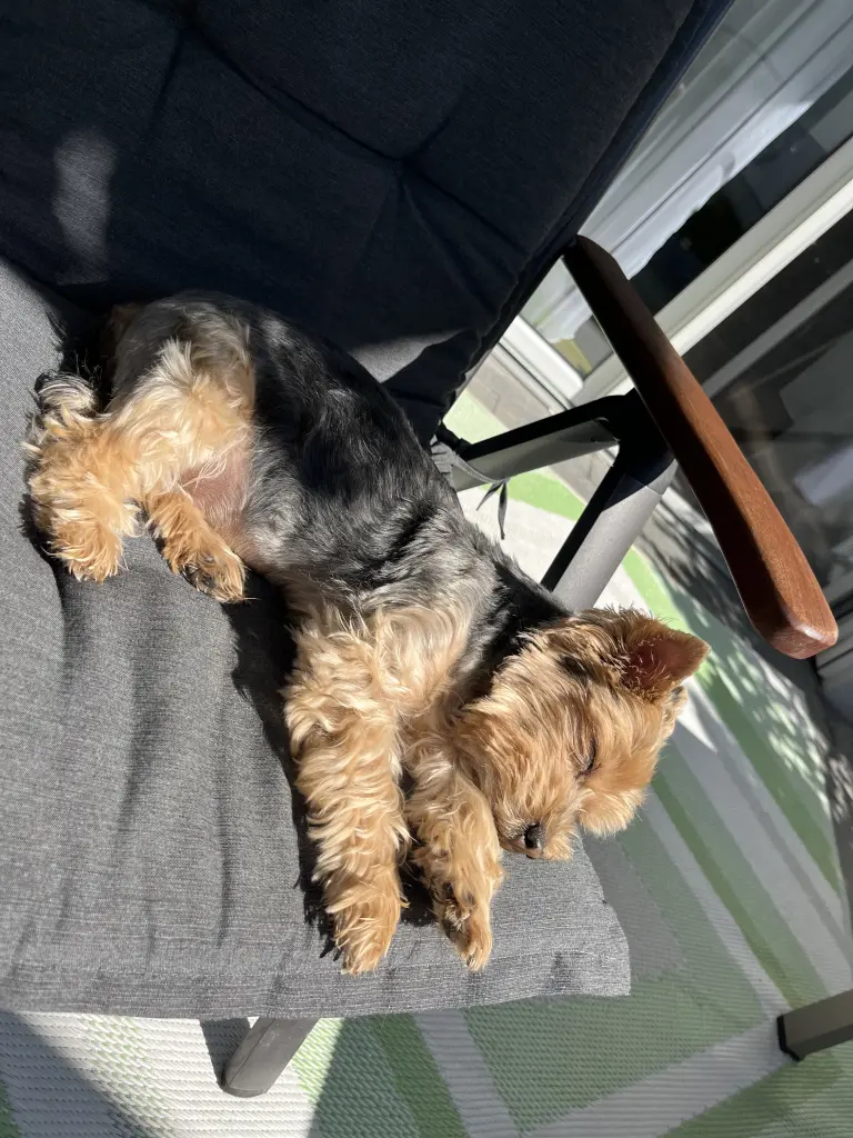 Condolence image of Maggie