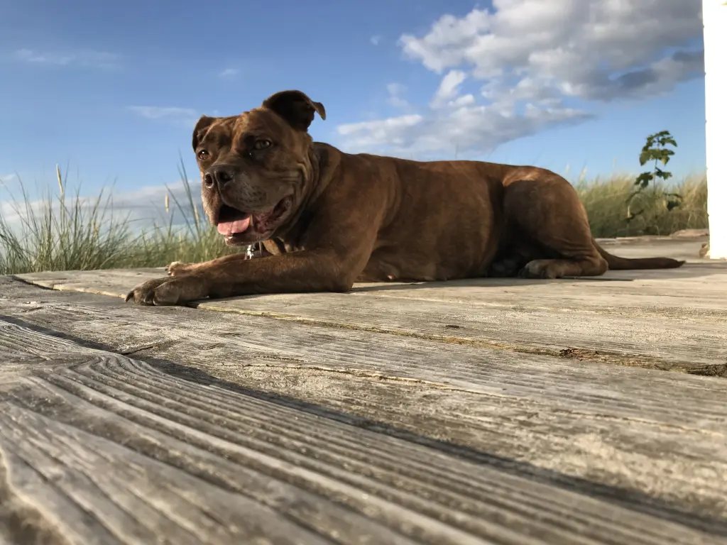 Meine Abenteurerin