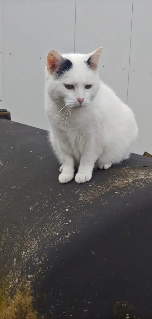 Mein Leben lang neugierig