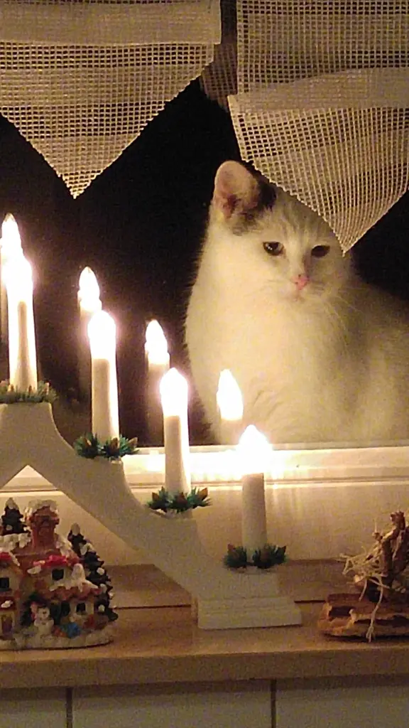 Ich hatte eine schöne Zeit bei Euch