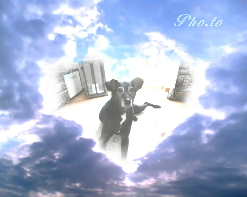 Condolence image of Unbekannt