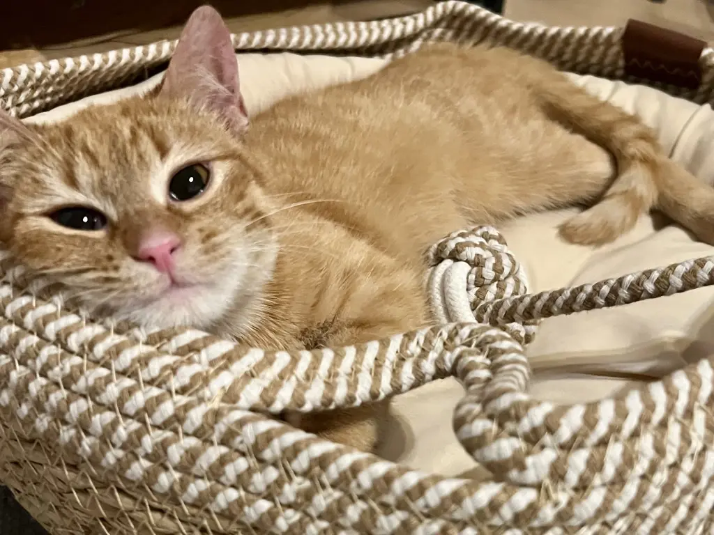 Condolence image of Marlena