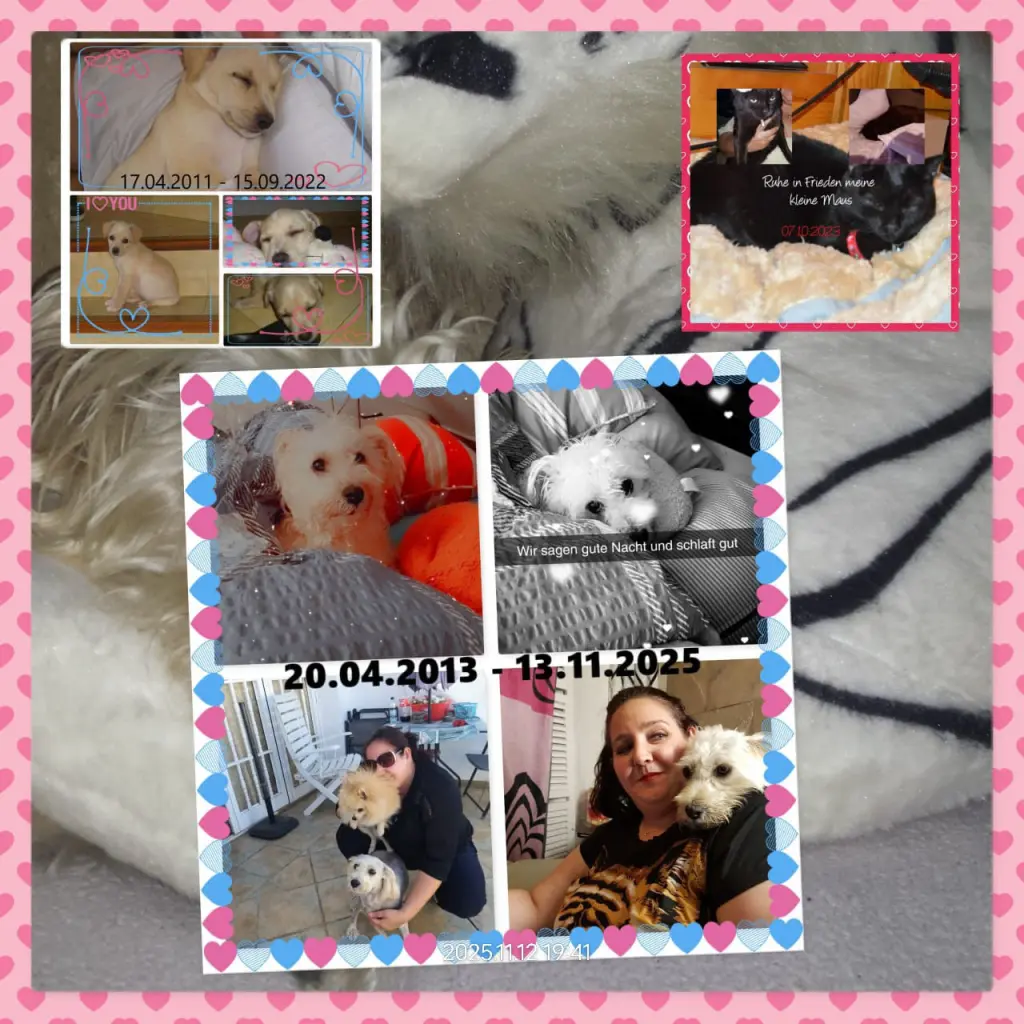 Image from Flo