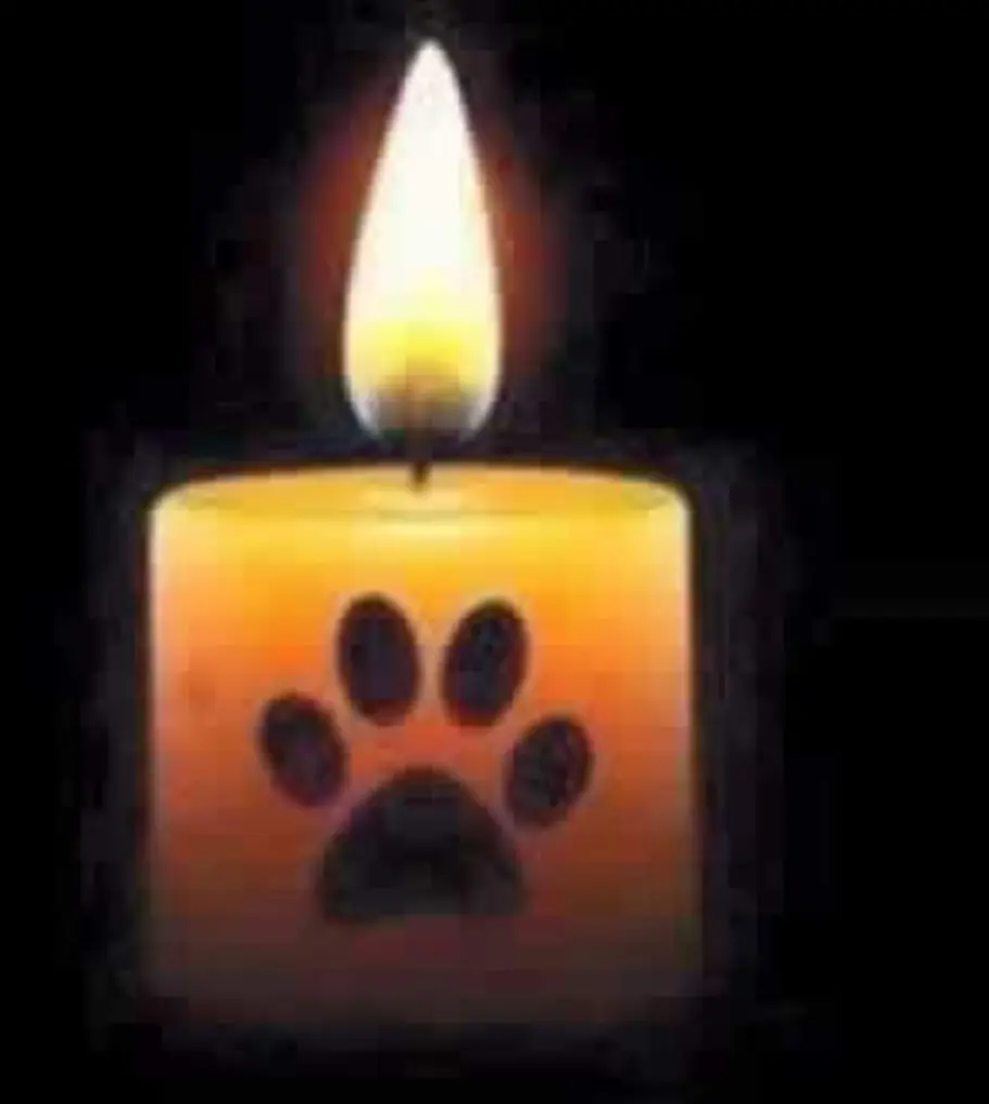 Andachtsbild von Sebastian