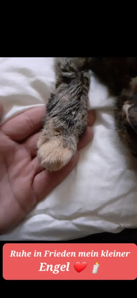 Andachtsbild von Jessica