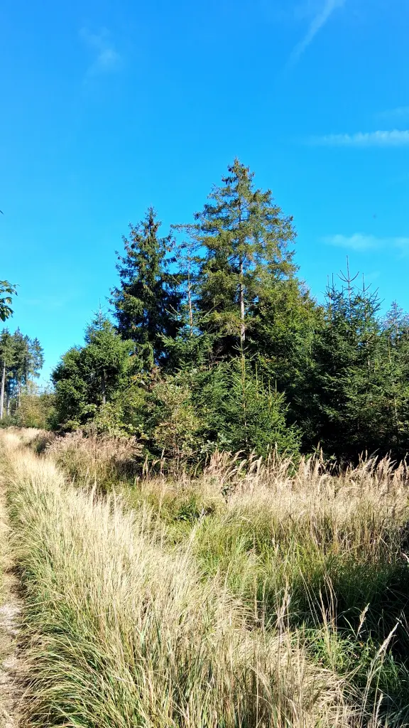 Andachtsbild von Erika Cremer