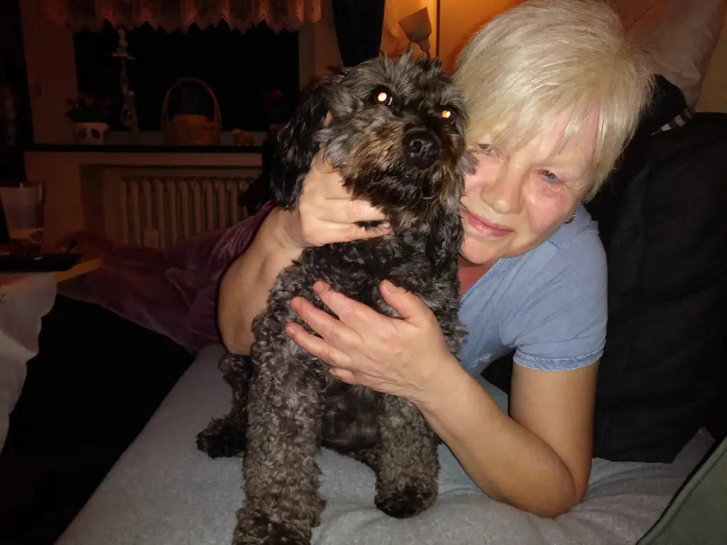 Image from Susie