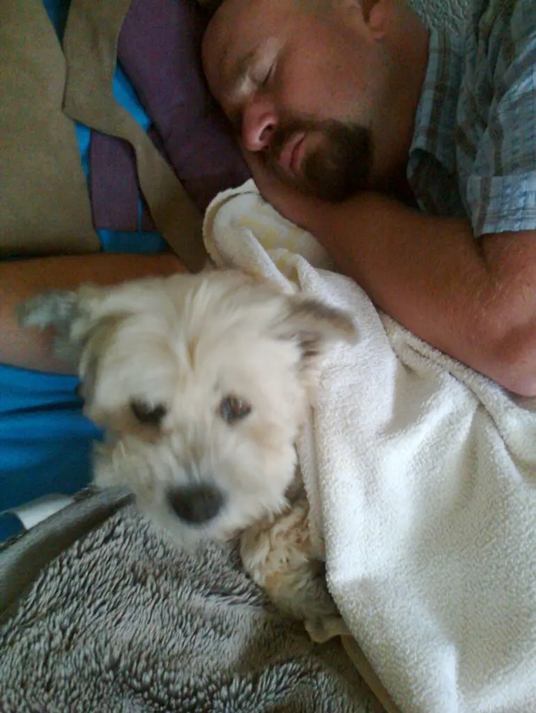 Andachtsbild von Sven Reich