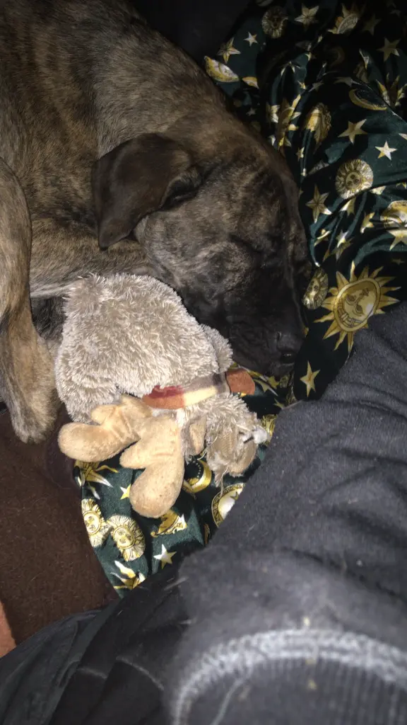 Andachtsbild von Benjamin Flucht