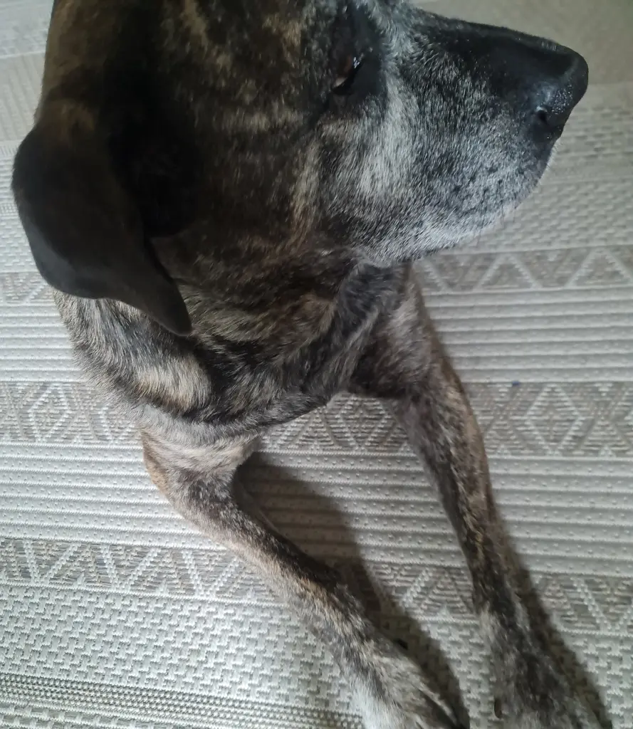 Andachtsbild von Kristina Erhardt