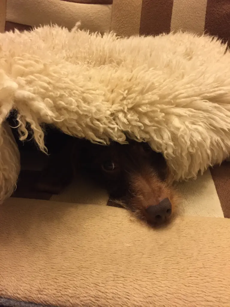 Condolence image of Kerstin