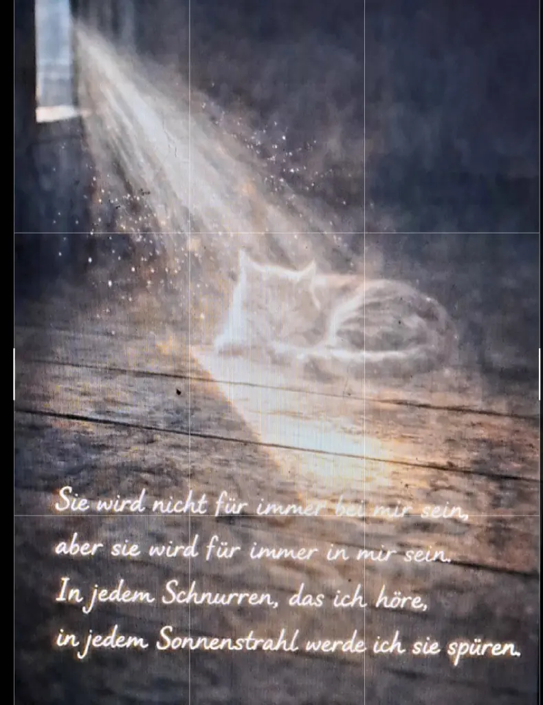 Condolence image of Barbara Fischer