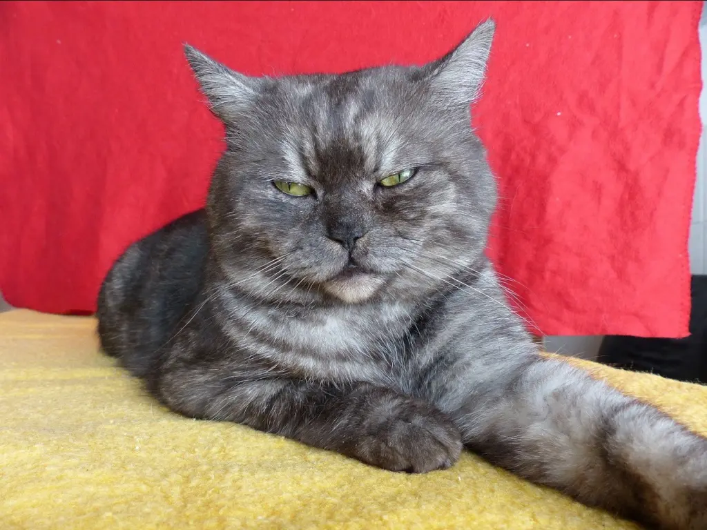 Bild von Michi Conrad D.v.S.