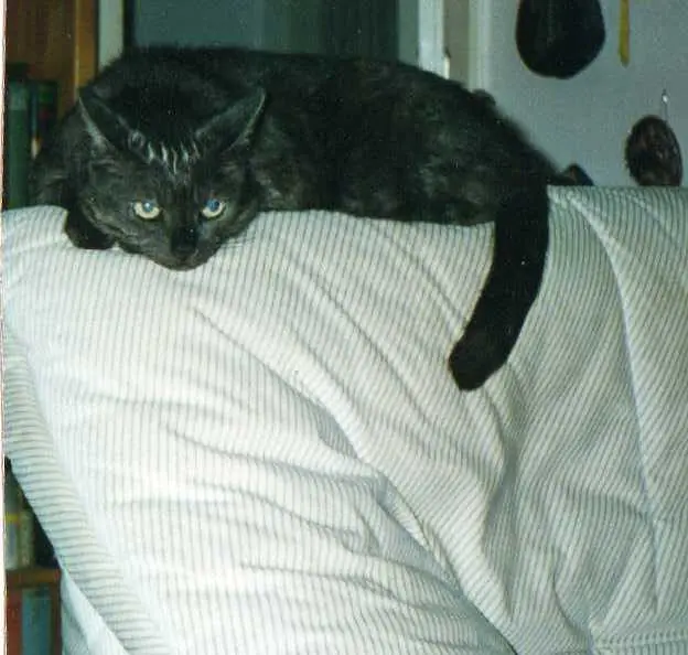 Condolence image of deiner Ilse in Liebe