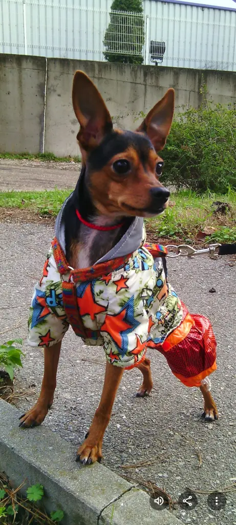 Andachtsbild von Ralitsa Ilieva