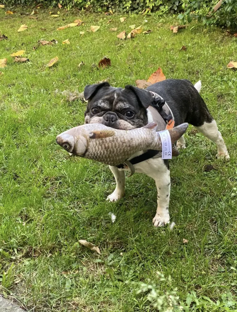 Image from Molly