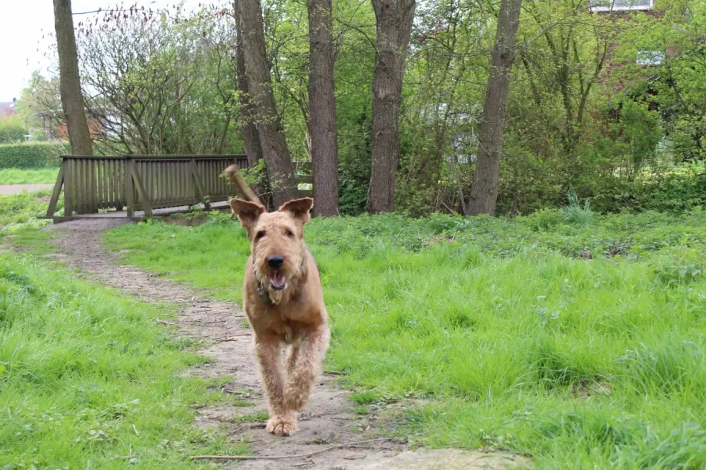 Condolence image of Gabi mit Max im Herzen 