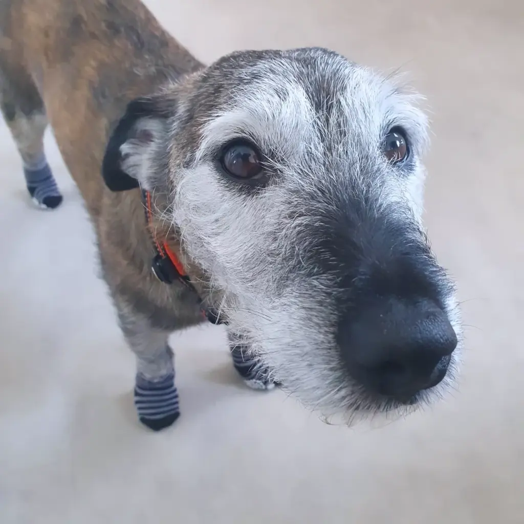 Andachtsbild von Marion Schreiber