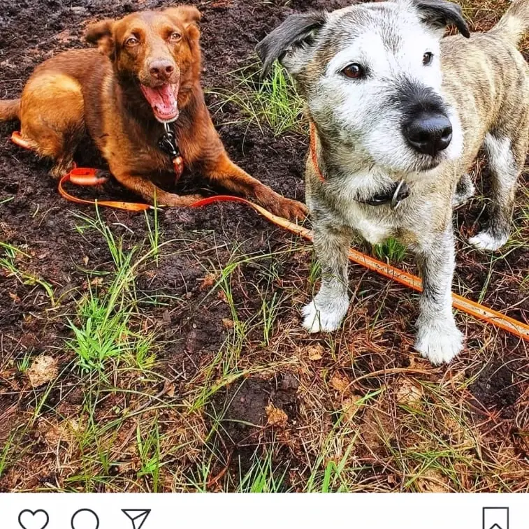 Andachtsbild von Marion Schreiber