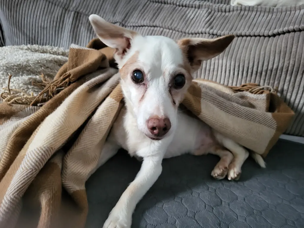 Unser letzter Tag, das letzte Foto 💔