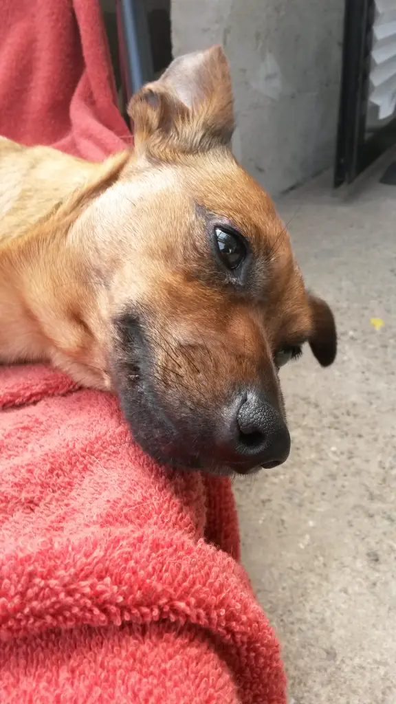 ❤️❤️❤️❤️❤️