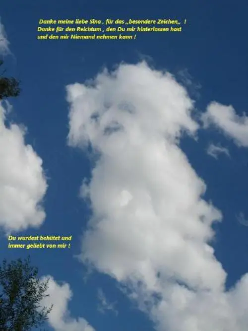 Image from meine einzigartige Sina