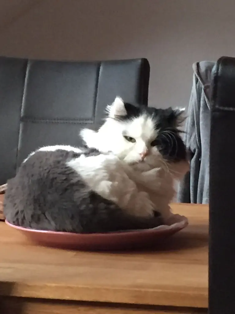 Mittendrin statt nur dabei.