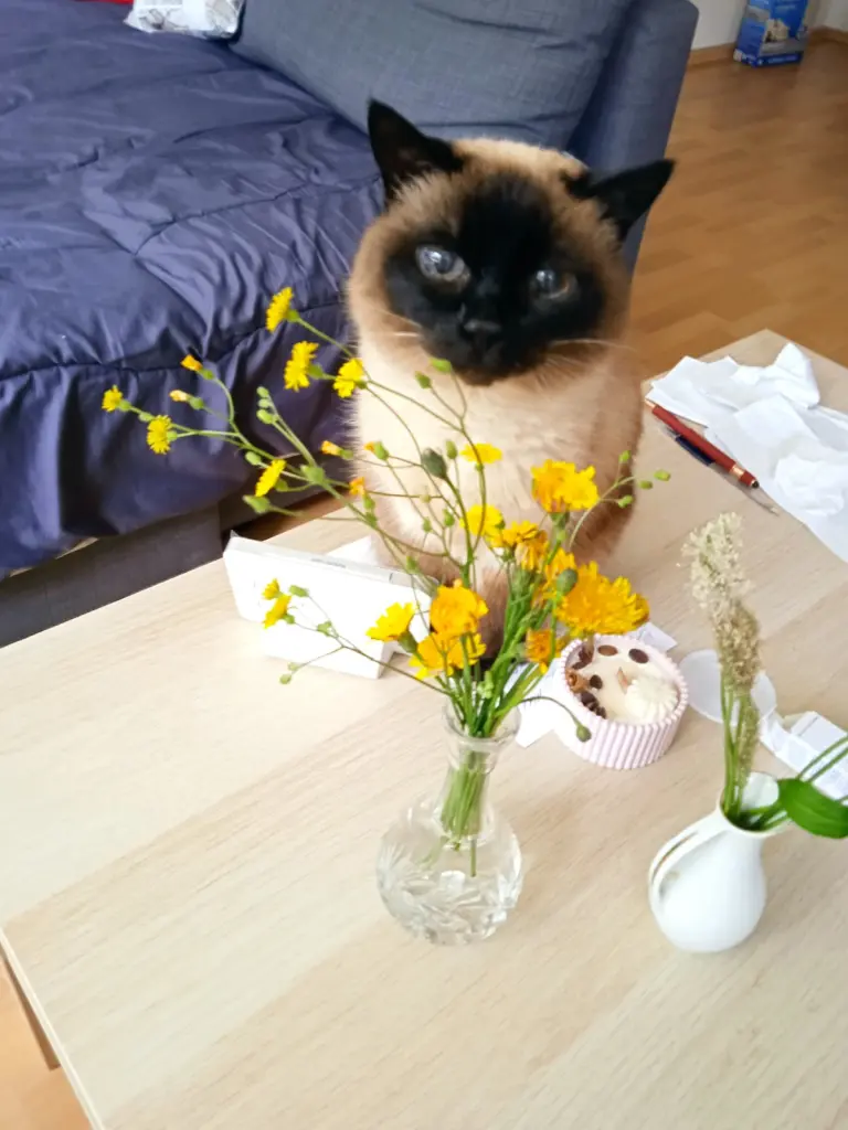 Sonja untersucht die Blumen