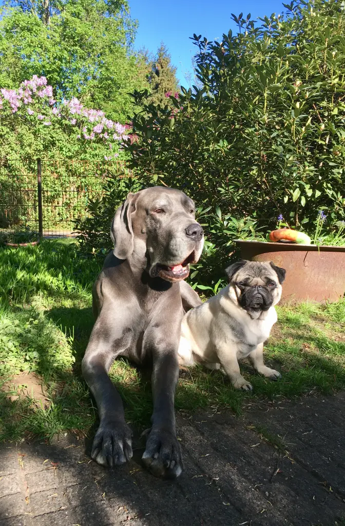 Condolence image of Jennifer