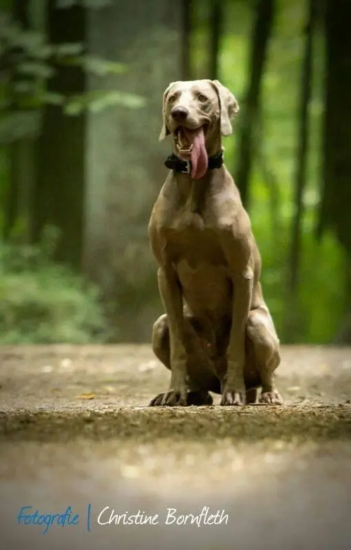 Condolence image of Bob