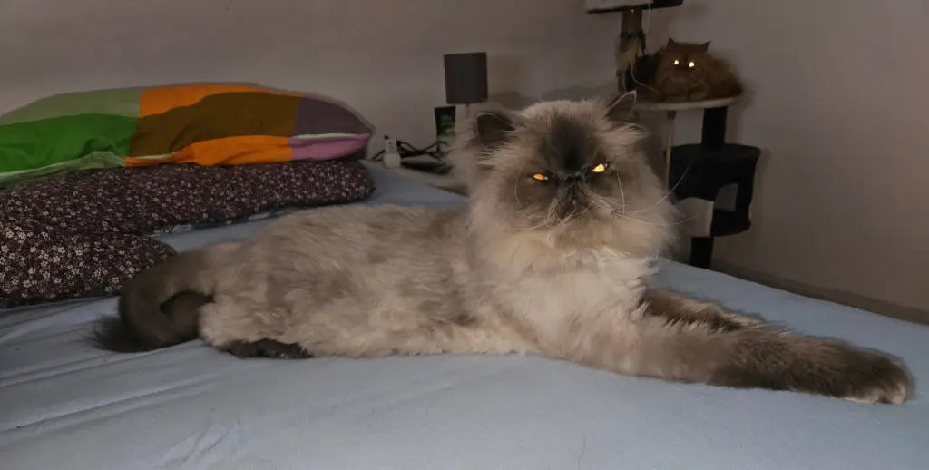 Andachtsbild von Nadine Kretzer