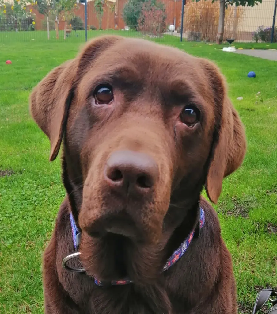 Andachtsbild von Diana Lilienthal