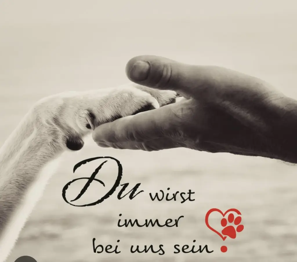 Condolence image of Mona mit Lina im ♥️