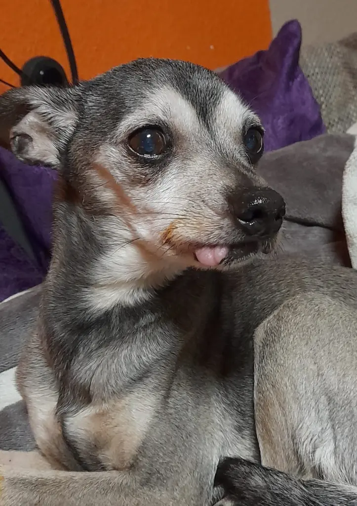 Andachtsbild von Nico Dewitz