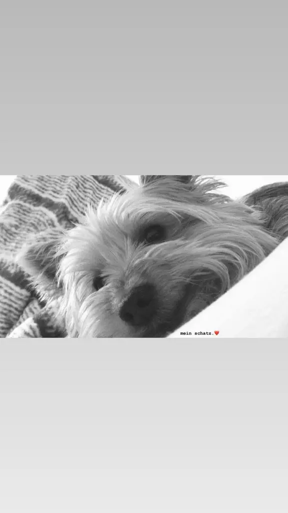 Image from Kitty