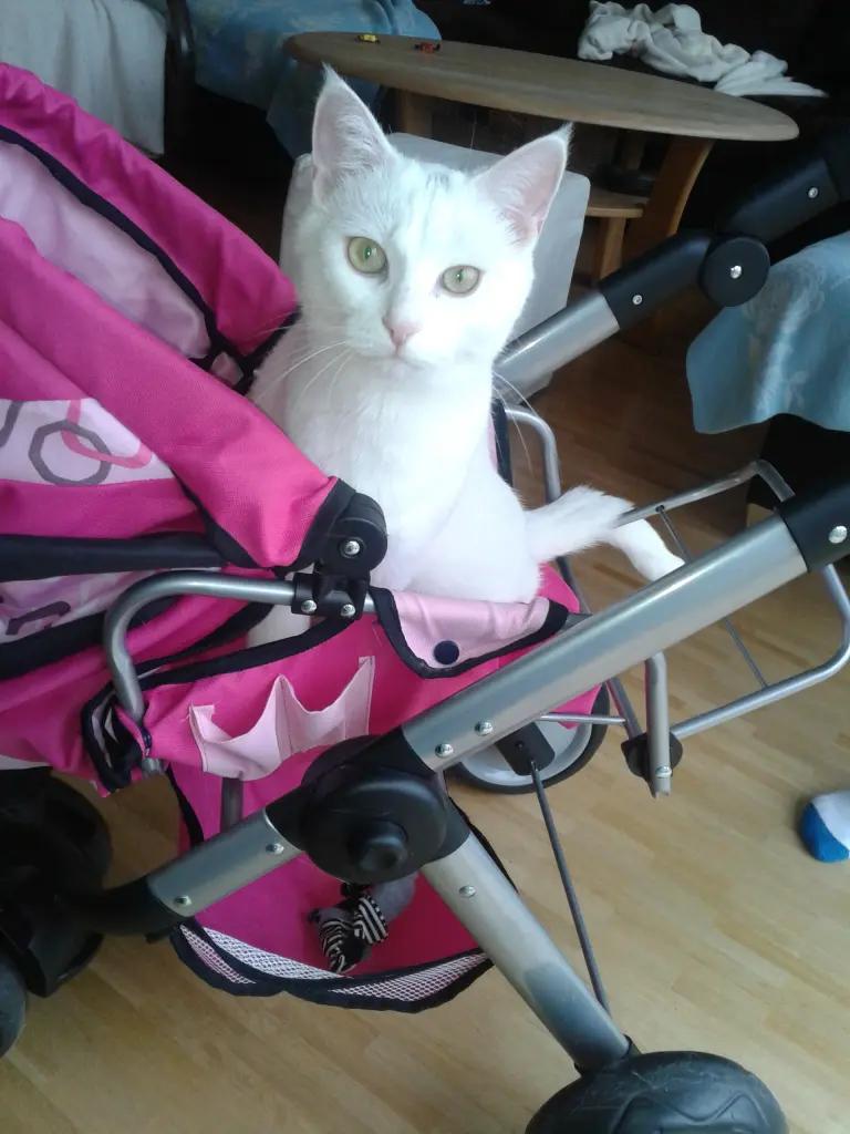 Image from Cleo