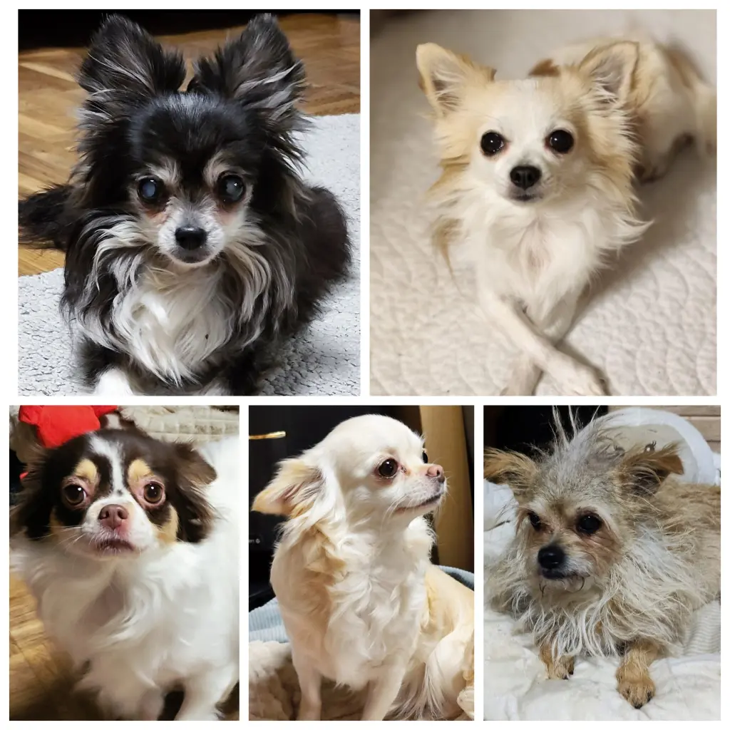 Andachtsbild von Susanne Nahlé