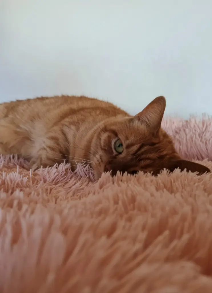 Andachtsbild von Nadine