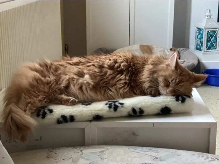 Ausruhen ist sooo wichtig.