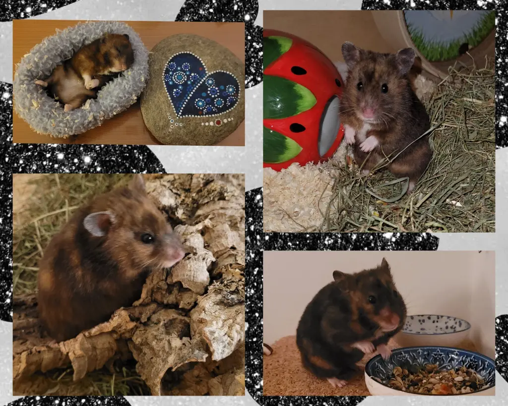 friedlich eingeschlafen, kleiner Schatz