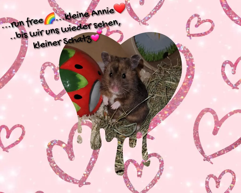 Vermisse Dich mein kleiner Schatz und hab Dich lieb