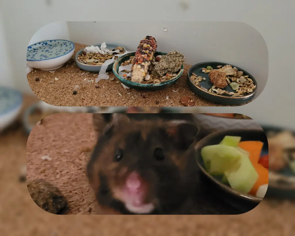 Ordnung muß sein :)