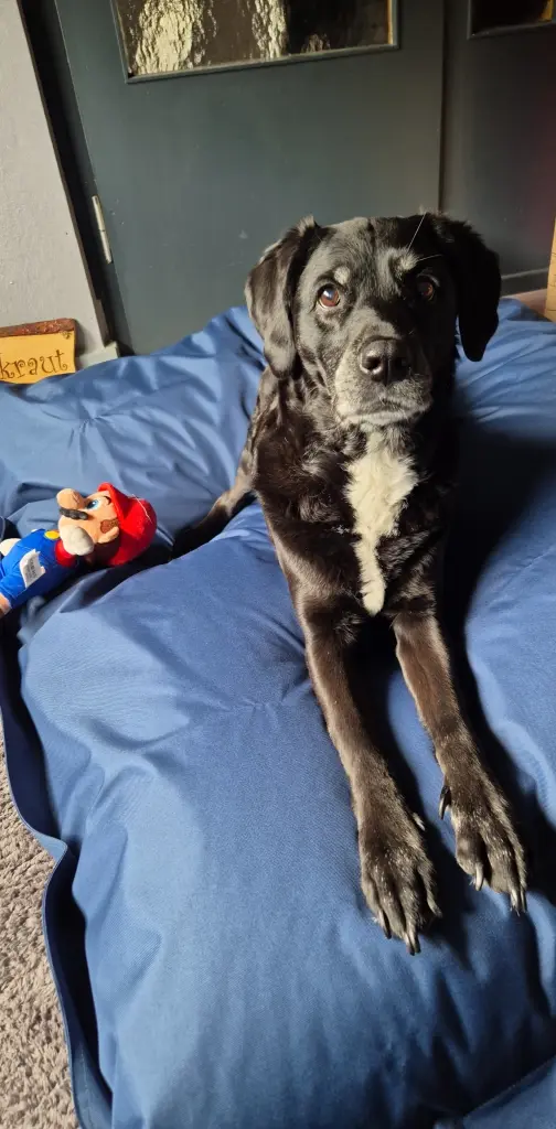 Alles was neu war, hast du inspiziert