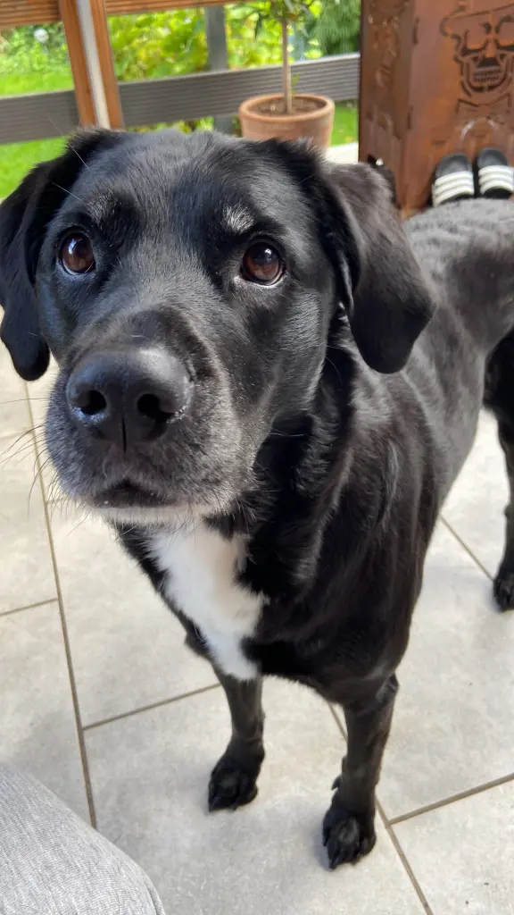 Dein Blick bleibt unvergessen