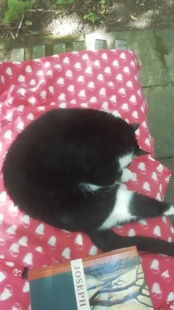 Andachtsbild von Marina Rauch