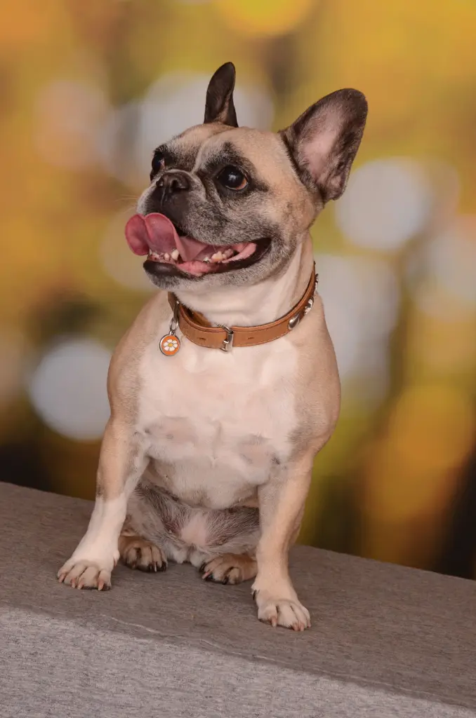 Andachtsbild von Monika Albrecht