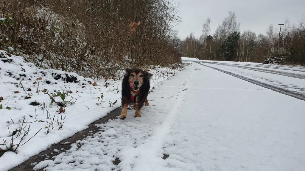 🧊❄️